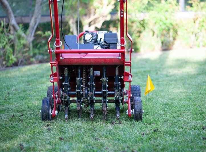 Lawn-Aeration