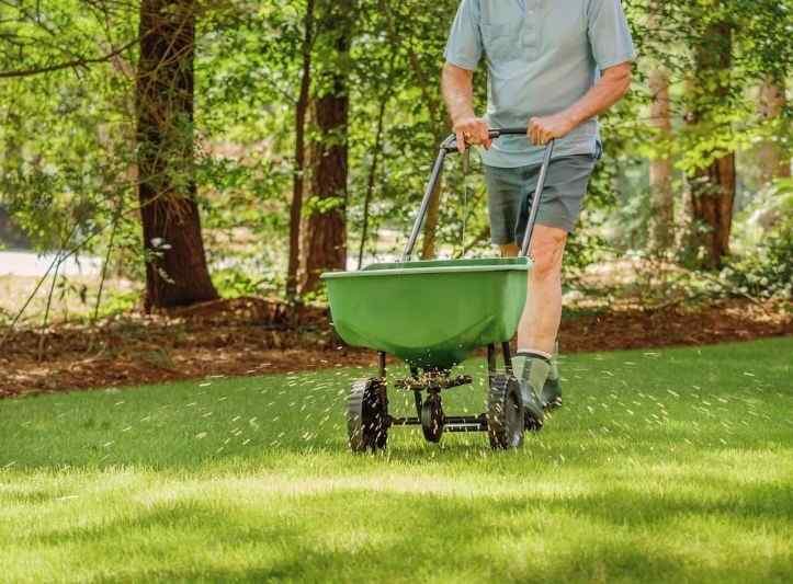 lawn fertilizing